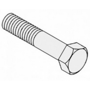Hinge Plate Bolt - SS-  HHS0481S